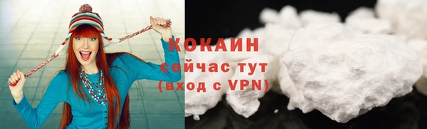 соль ск Алексин