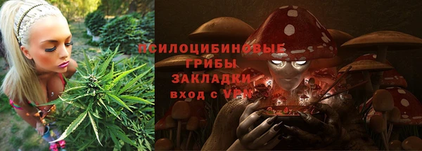соль ск Алексин