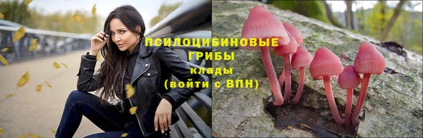марки nbome Алексеевка