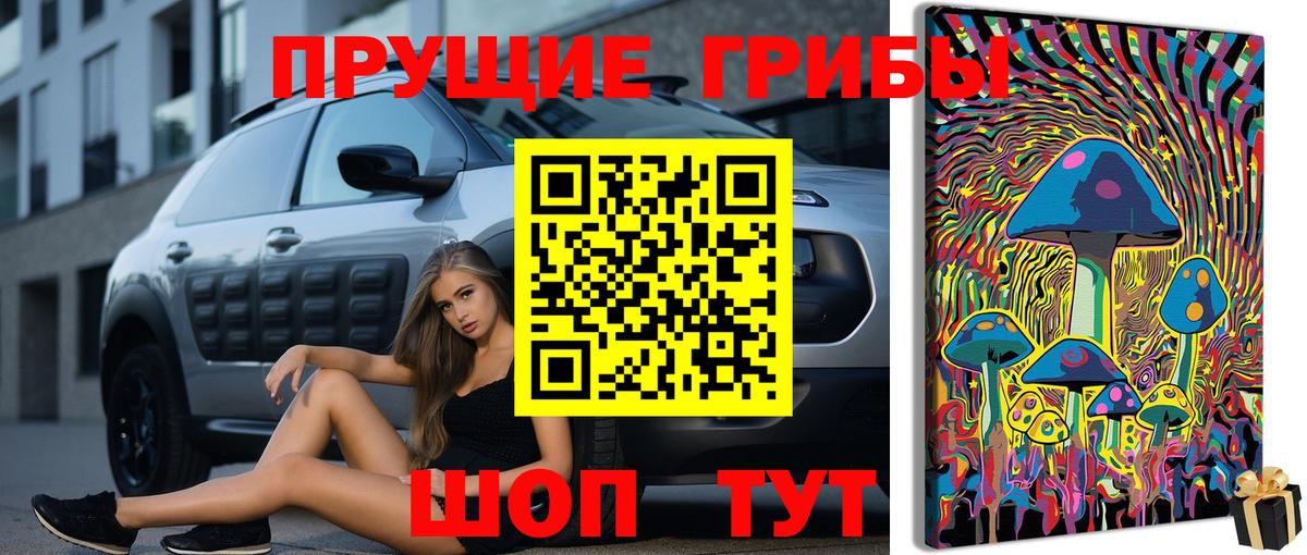 Клин  Галлюциногенные грибы MAGIC MUSHROOMS  хочу   Вход с VPN 