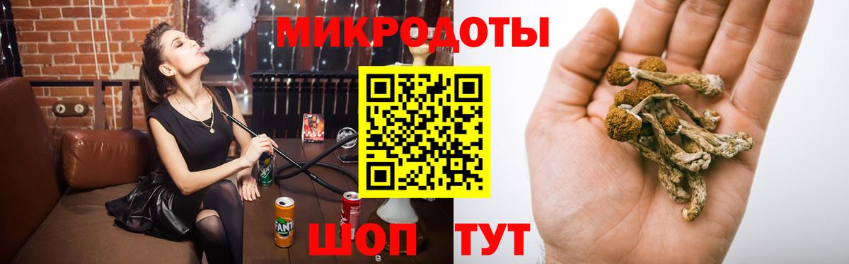 Галлюциногенные грибы Psilocybine cubensis Клин
